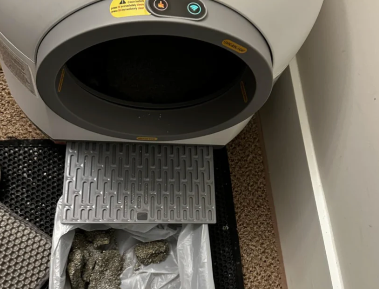 Review by Charlotte R